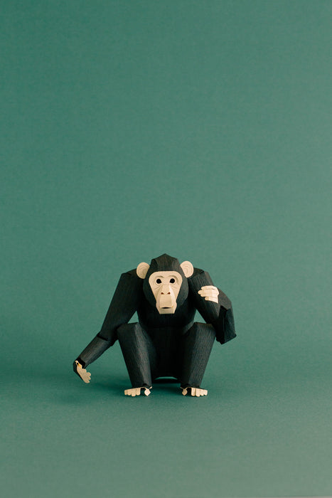 TOP TO TAIL CHIMPANZEE