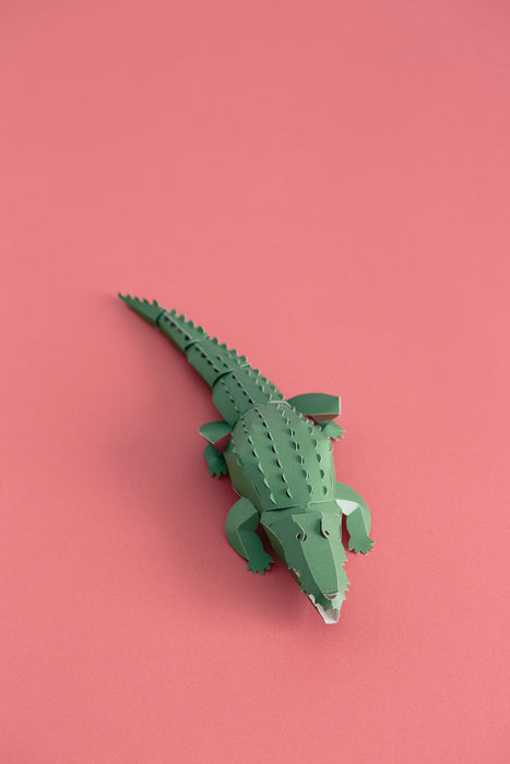 TOP TO TAIL CROCODILE