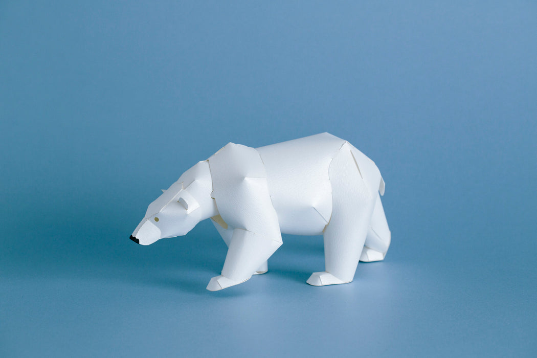 TOP TO TAIL POLAR BEAR
