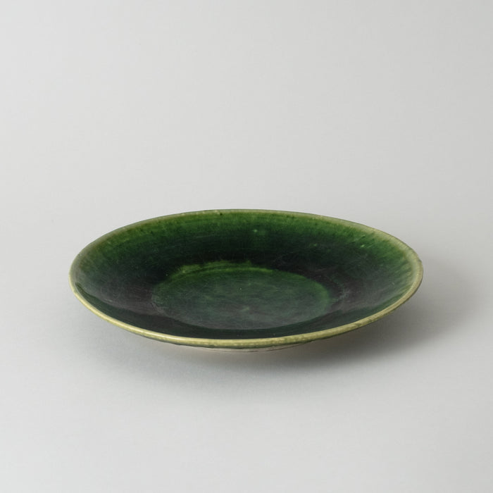 SETOWA Dish