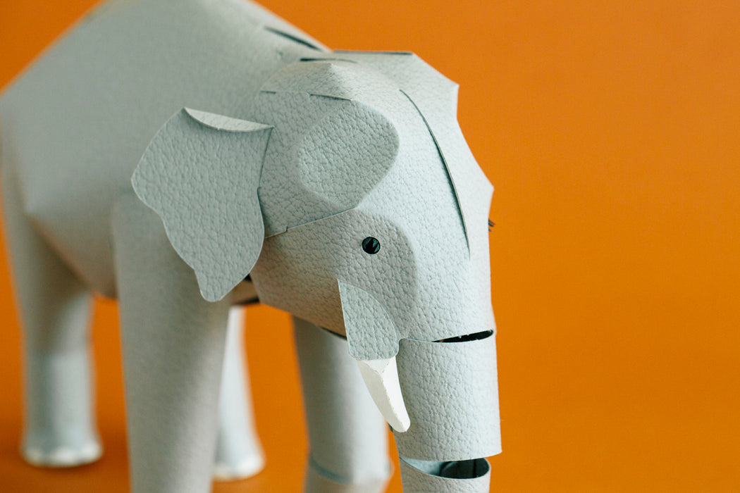 TOP TO TAIL ELEPHANT