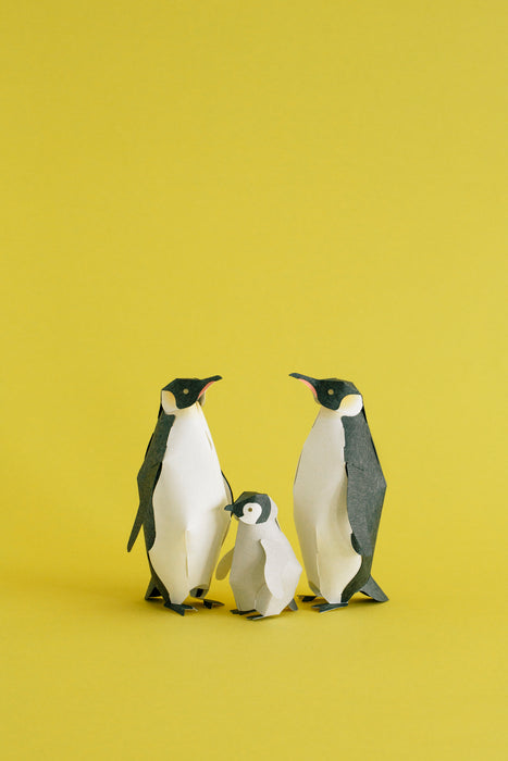 TOP TO TAIL PENGUIN