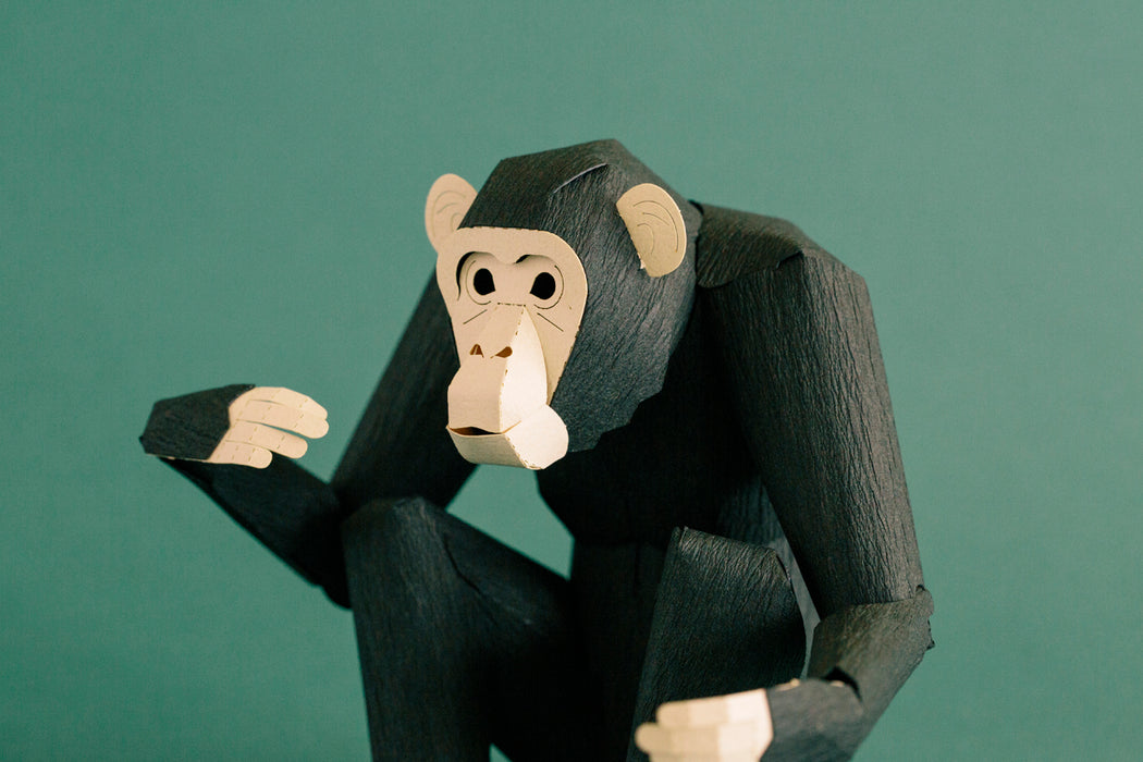 TOP TO TAIL CHIMPANZEE