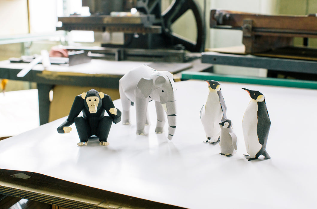 TOP TO TAIL ELEPHANT