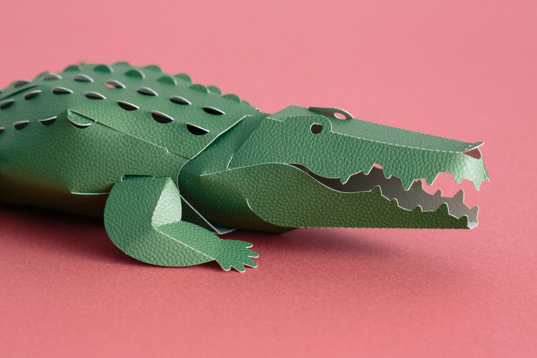 TOP TO TAIL CROCODILE