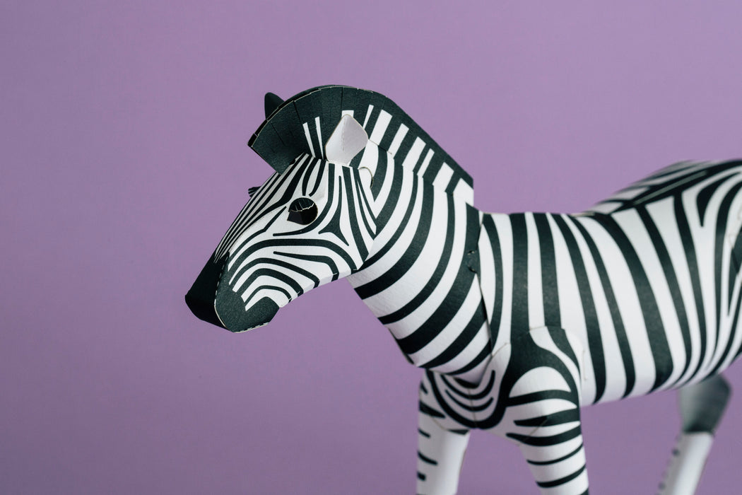 TOP TO TAIL ZEBRA