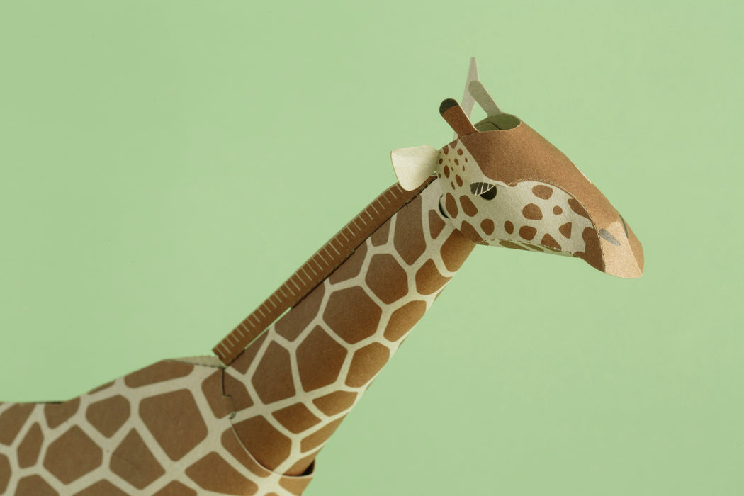 TOP TO TAIL GIRAFFE