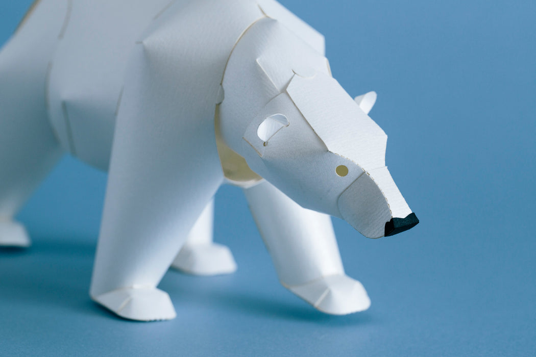 TOP TO TAIL POLAR BEAR