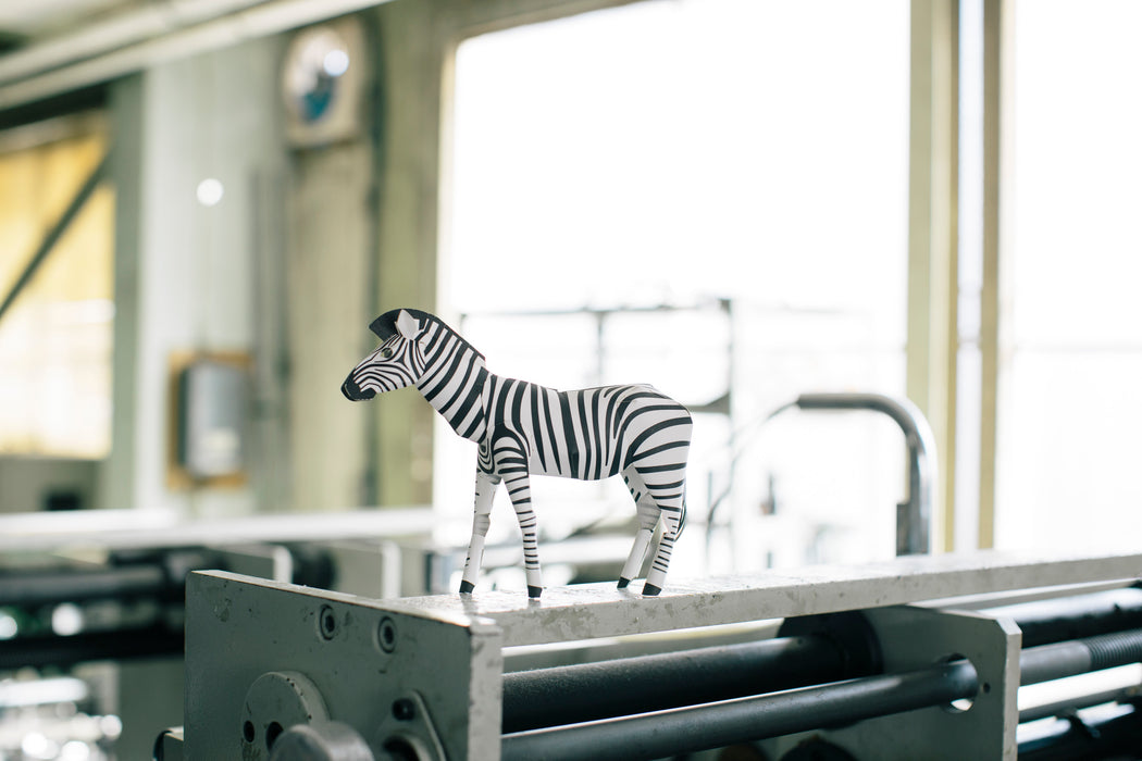 TOP TO TAIL ZEBRA