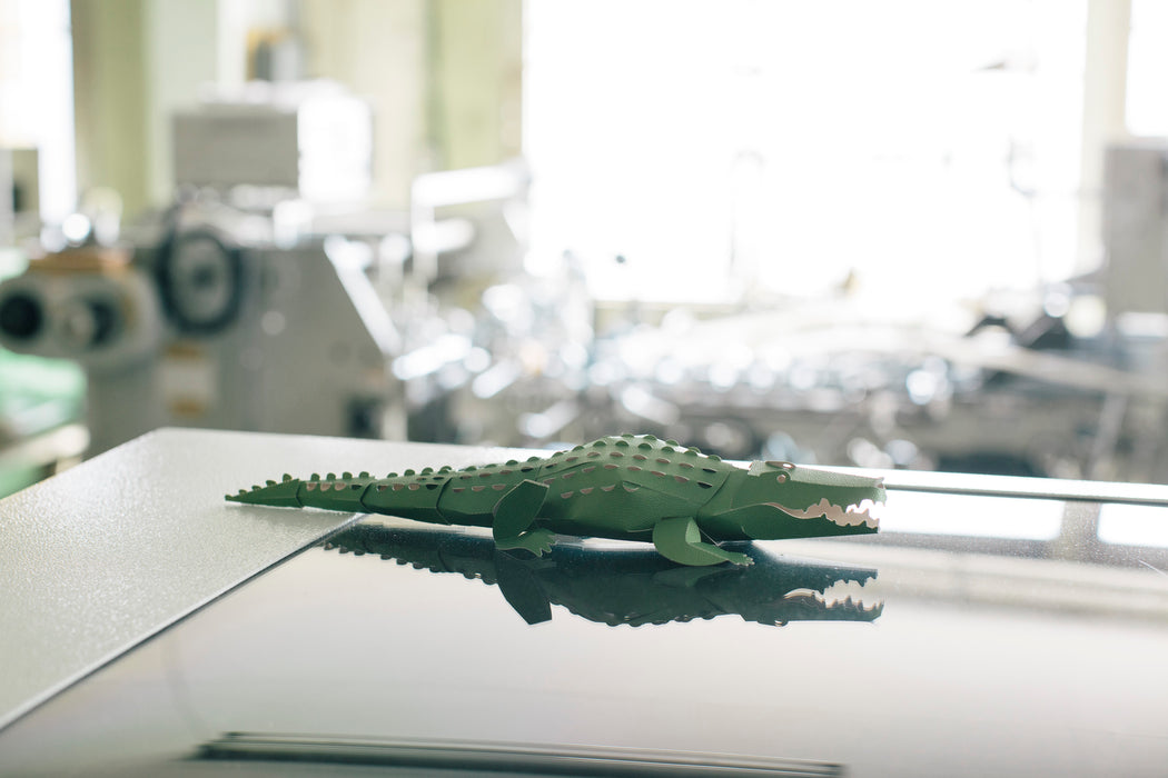 TOP TO TAIL CROCODILE