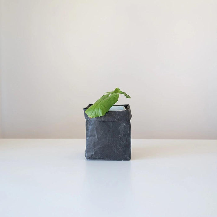SIWA Box 9 × 9