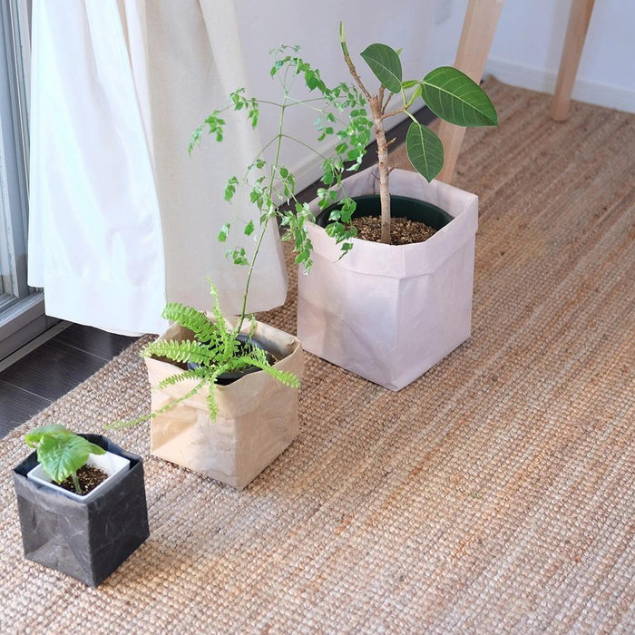 SIWA Box 13 × 13