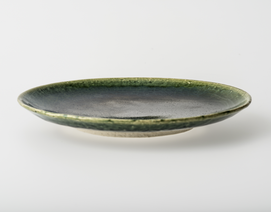SETOWA Dish
